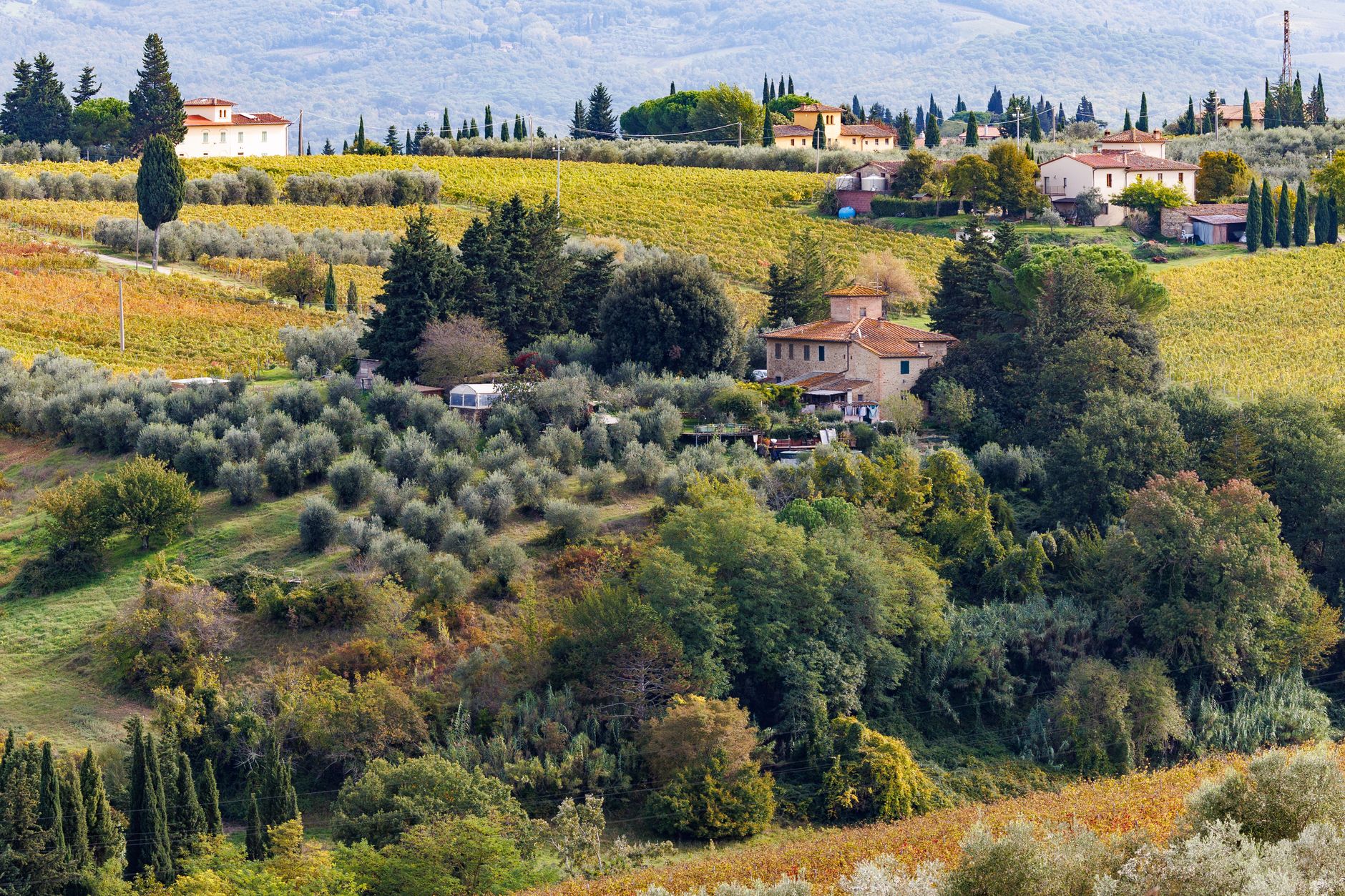 Tuscan stone estate with olive groves and cypress trees